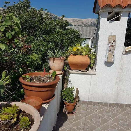 Edo-krok Apartamento